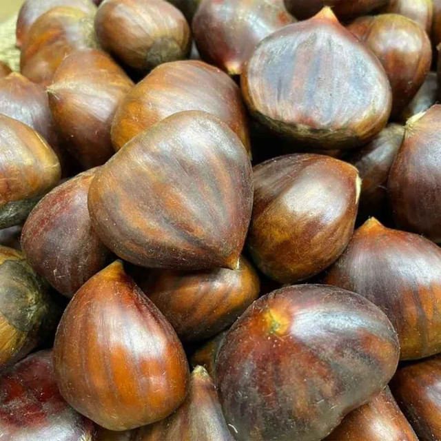 Castanha Portuguesa In Natura 100g