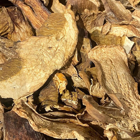 Funghi Secchi Porcini 100g