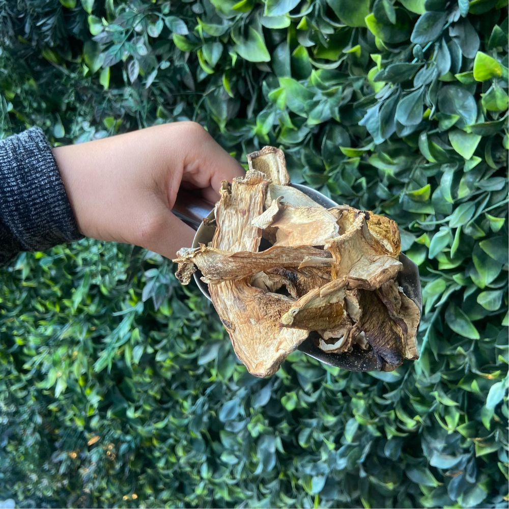 Funghi Secchi Porcini 100g