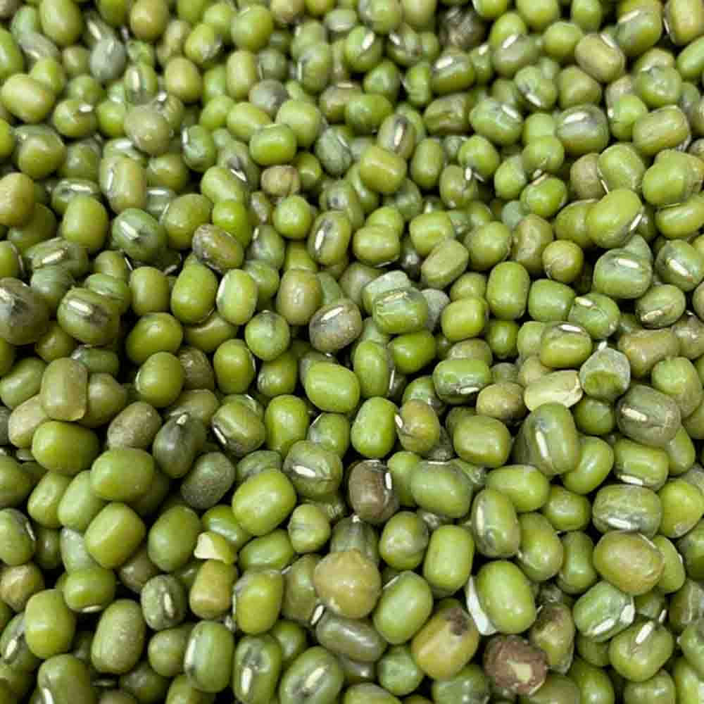Feijão Moyashi 500g