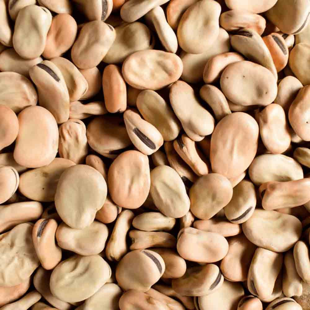 Fava Portuguesa 500g