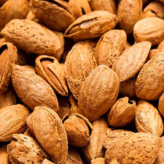 Amêndoa Com Casca 500g