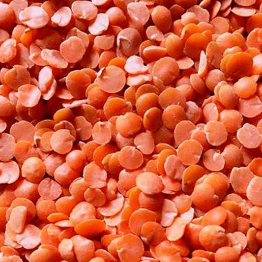 Lentilha Libanesa Vermelha 500g
