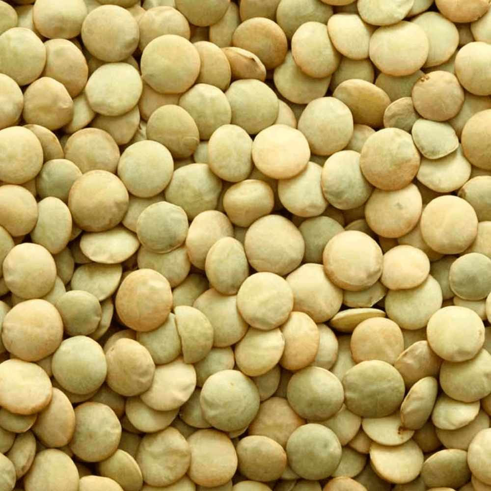 Lentilha Canadense 500g