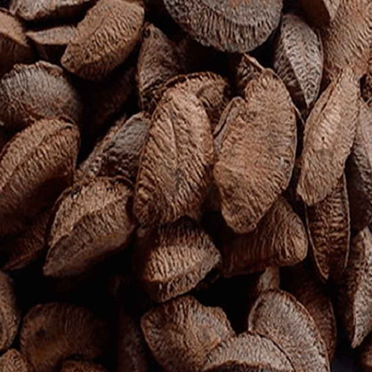 Castanha do Pará com Casca 500g