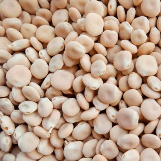 Tremoço Seco 500g