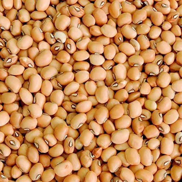 Feijão de Corda 500g