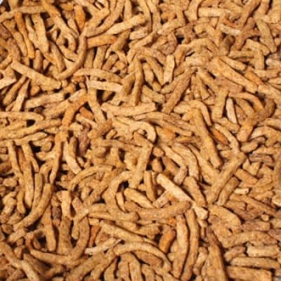 all-fibreus