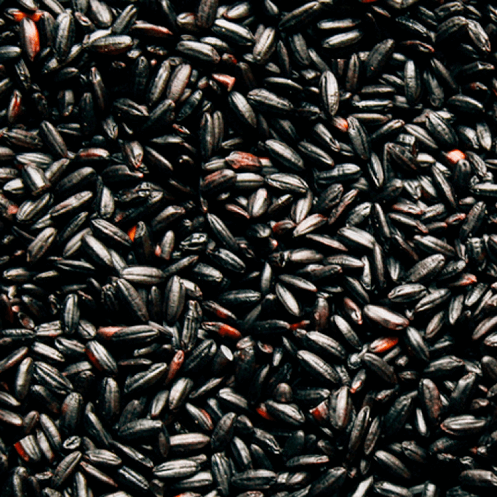 arroz-negro