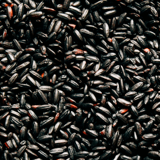 arroz-negro