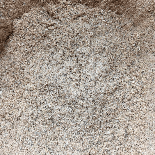berinjela1