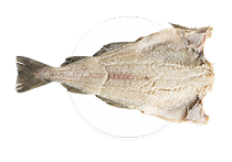 Bacalhau Cod Macro
