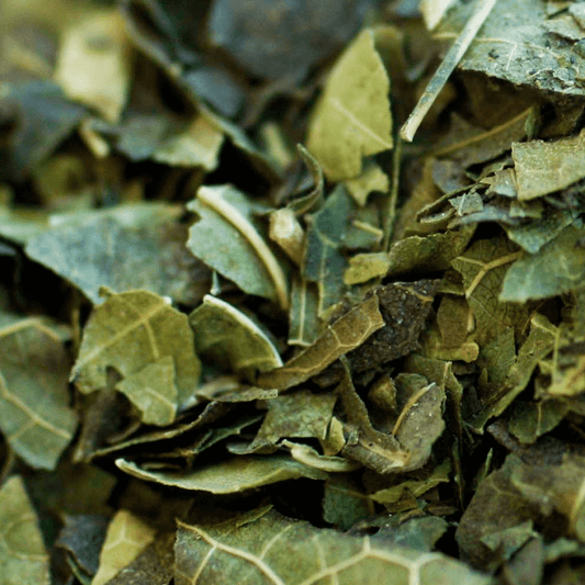 cha-verde1