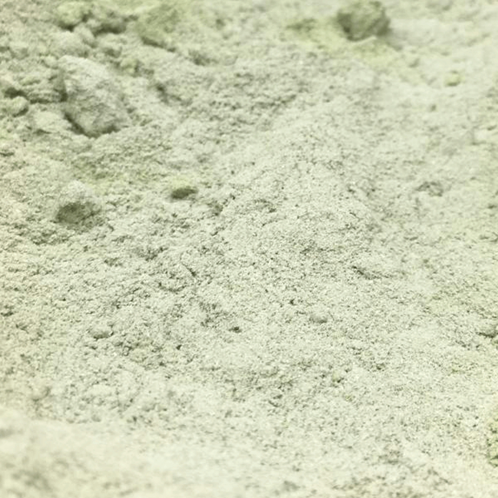 clorofila