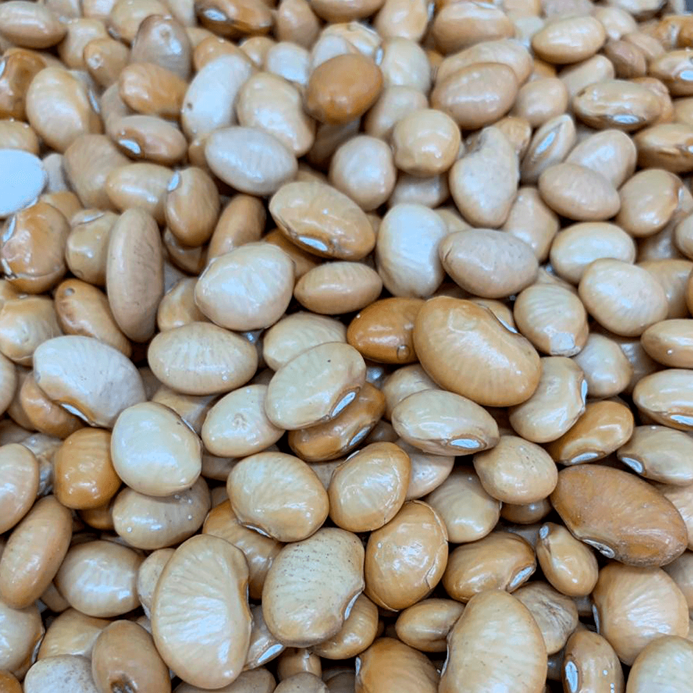 fava-manteiga
