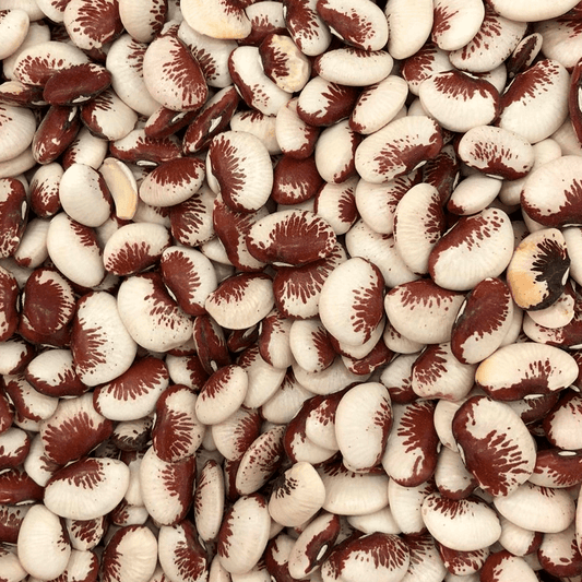 Fava Rajada Vermelha 500g