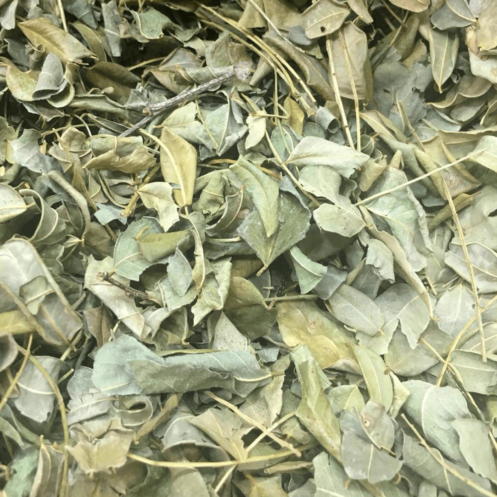 Moringa 100g