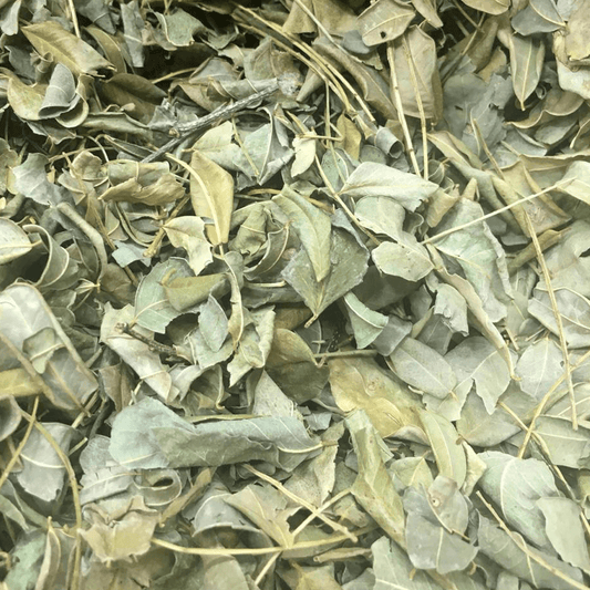 Moringa 100g