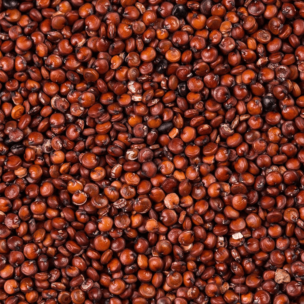 quinoa-vermelha