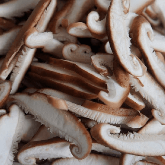 shitake