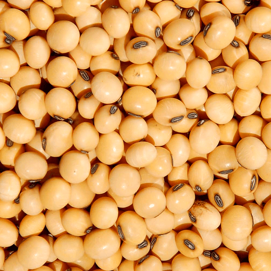 Soja Amarela em Grão 500g