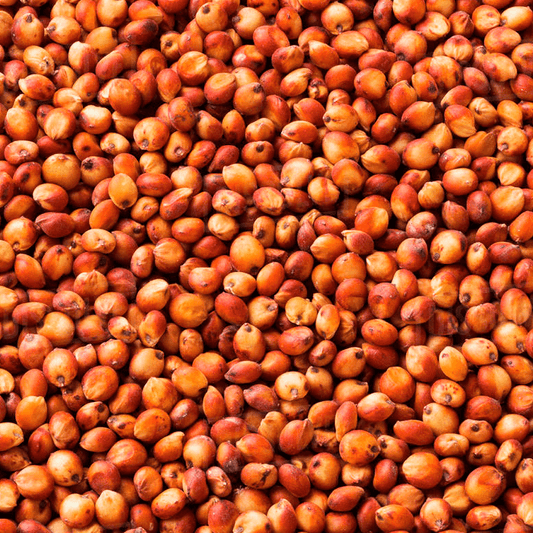 sorgo-em-grao1.jpg